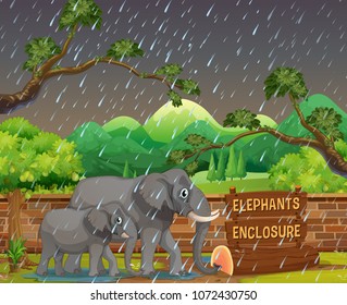 Zoo scene with elephants in rainy day illustration