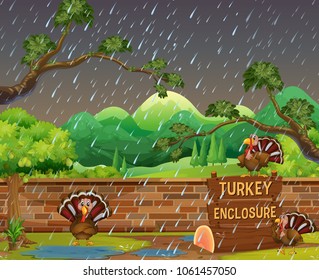 Zoo scene with turkeys in the rain illustration