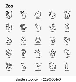 Zoo thin line icons set: lion, deer, horse, monkey, tiger, penguin, hippo, giraffe, elephant, turtle. Modern vector illustration.