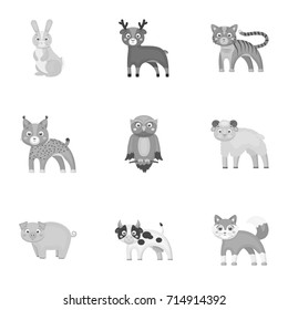 Zoo, toys, hunting and other web icon in monochrome style.Forest, nature, farm, icons in set collection.