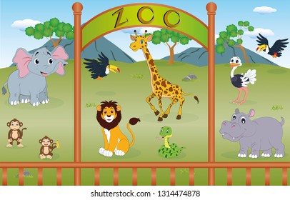 Zoo vector illustration. Zoo cartoon design. Open zoo wild animals. Elephant, parrot, zebra, lion, monkey, snake, hippopotamus, ostrich.