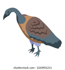 Zoo vulture icon isometric vector. Evil bird. Feather wings