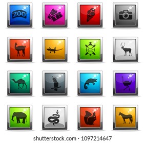 zoo web icons in square colored buttons for user interface design