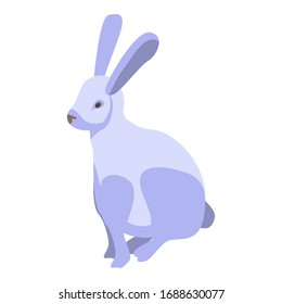 Zoo white rabbit icon. Isometric of zoo white rabbit vector icon for web design isolated on white background