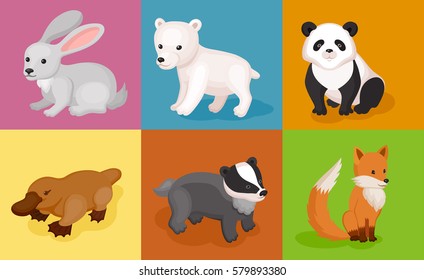 Zoo wild animals colorful set. Mammals  and marsupials isolate on multicolored background