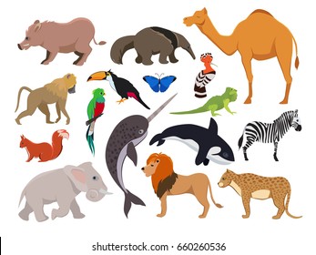 Zoo wild animals. Cute vector characters isolate on white
