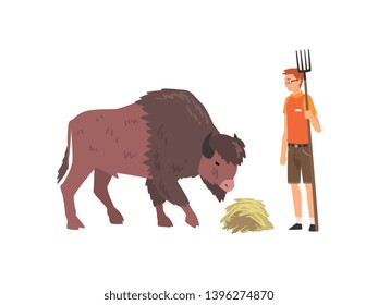 Zoo Worker Feeding Buffalo, Professional Zookeeper Character Caring of Animal Vector Illustration