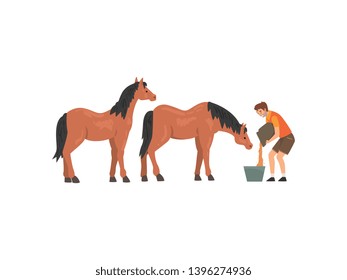 Zoo Worker Feeding Horses, Professional Zookeeper Character Caring of Animals Vector Illustration