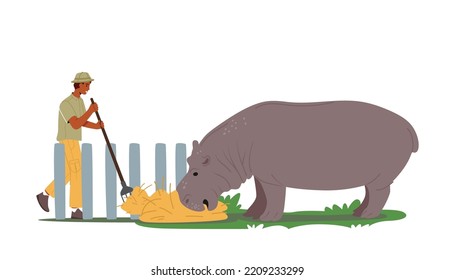 Zoo Worker Male Character Feeding Hippopotamus with Hay, Professional Zookeeper Caring of Wild Animals in Zoo, Man Naturalist Exploring African Hippo Fauna Creature. Cartoon People Vector Illustration