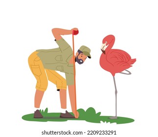 Zoo Worker or Veterinarian Examining and Measuring Flamingo, Professional Zookeeper Ornithologist Scientist Character Study Birds Species, Behavior And Living Areas. Cartoon People Vector Illustration