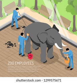 Zoo workers with professional tools during feeding and washing elephant and cleaning his house isometric vector illustration