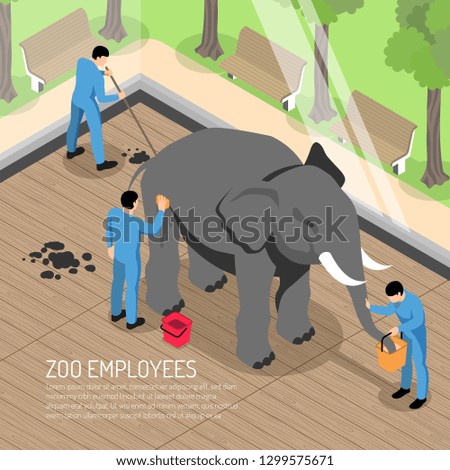 Zoo workers with professional tools during feeding and washing elephant and cleaning his house isometric vector illustration