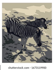 
zoo zebra graphic vector work