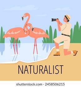 Zoological research. Vector illustration of a young naturalist photographing pink flamingos standing in the water. Ideal for educational posters and flyers with text space.