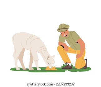 Zoologist Character Study Animal In Natural Habitat. Scientist Naturalist Explore And Investigate Lama. Tameless Fauna Creation Protection Expedition To Wild Nature. Cartoon People Vector Illustration