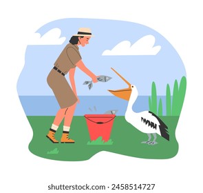 A zoologist feeds a pelican from a bucket of fish. Vector illustration depicting wildlife care by a lakeside.