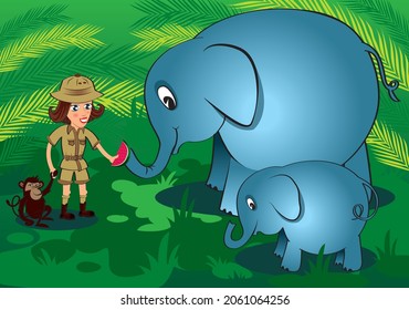 Zoologist with the little monkey feeding elephants with watermelon 