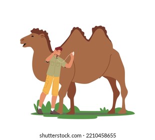 Zoologist Male Character Listen Heart of Camel with Stethoscope. Veterinarian Doctor Care of Animals, Naturalist Research and Observe Animal Living and Health. Cartoon People Vector Illustration