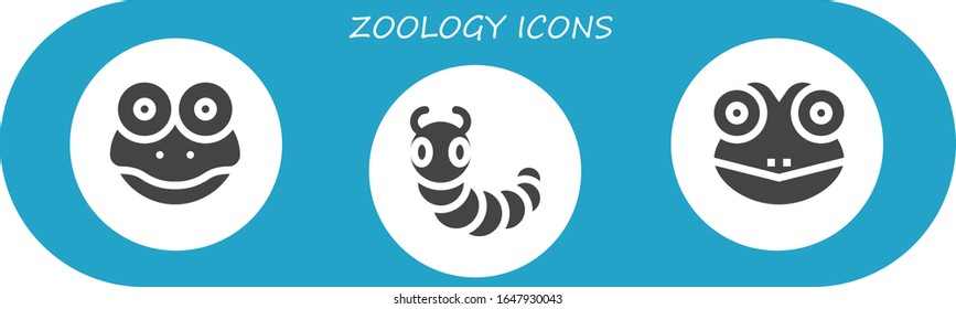 zoology icon set. 3 filled zoology icons. Included Frog, Caterpillar icons