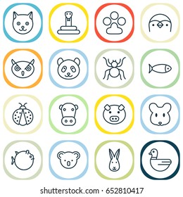 Zoology Icons Set. Collection Of Bear, Piglet, Kine And Other Elements. Also Includes Symbols Such As Insect, Marsupial, Diver.