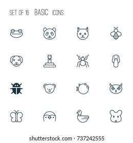 Zoology Icons Set. Collection Of Butterflyfish, Goose, Spider And Other Elements. Also Includes Symbols Such As Cat, Bear, Cobweb.
