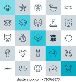 Zoology Icons Set. Collection Of Claw Print, Cobweb, Fish And Other Elements. Also Includes Symbols Such As Pig, Bone, Cobweb.