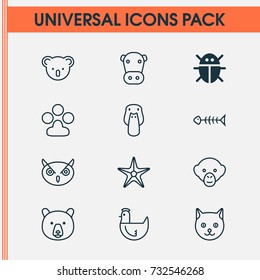 Zoology Icons Set. Collection Of Claw Print, Kine, Hen And Other Elements. Also Includes Symbols Such As Owl, Monkey, Chicken.