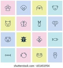 Zoology Icons Set. Collection Of Duck, Bumblebee, Moth And Other Elements. Also Includes Symbols Such As Koala, Duck, Paw.