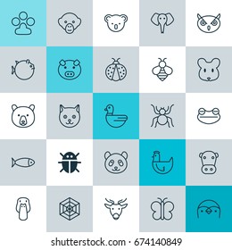 Zoology Icons Set. Collection Of Fish, Beetle, Marsupial And Other Elements. Also Includes Symbols Such As Moth, Butterfly, Web.