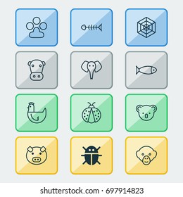 Zoology Icons Set. Collection Of Hen, Cobweb, Baboon And Other Elements. Also Includes Symbols Such As Chimpanzee, Monkey, Bone.