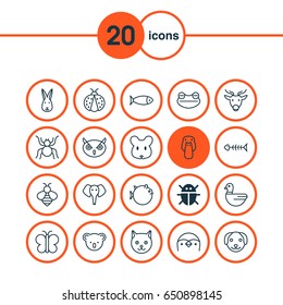 Zoology Icons Set. Collection Of Kitten, Goose, Toad And Other Elements. Also Includes Symbols Such As Bumblebee, Diver, Ladybird.