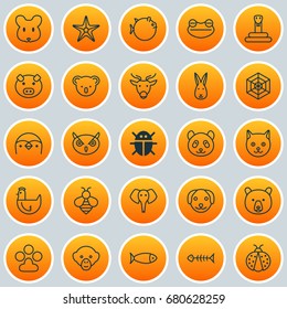Zoology Icons Set. Collection Of Night Fowl, Fish, Kitten And Other Elements. Also Includes Symbols Such As Monkey, Snake, Sea.