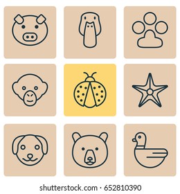 Zoology Icons Set. Collection Of Puppy, Goose, Ladybird And Other Elements. Also Includes Symbols Such As Monkey, Grizzly, Animal.