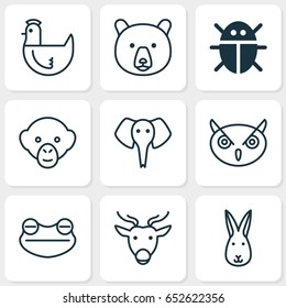 Zoology Icons Set. Collection Of Trunked Animal, Beetle, Toad And Other Elements. Also Includes Symbols Such As Chicken, Baboon, Insect.