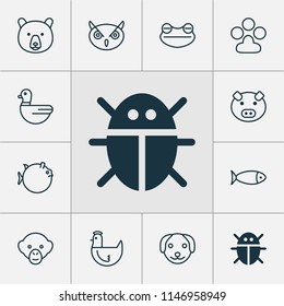 Zoology icons set with globefish, chicken, bug and other night fowl elements. Isolated vector illustration zoology icons.