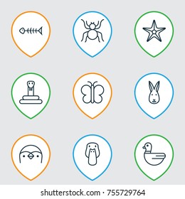 Zoology Icons Set. Includes Icons Such As Goose, Spider, Bunny And Other.