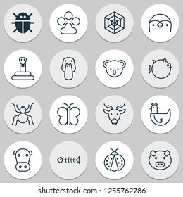 Zoology icons set with mallard, spider web, butterfly and other duck elements. Isolated vector illustration zoology icons.