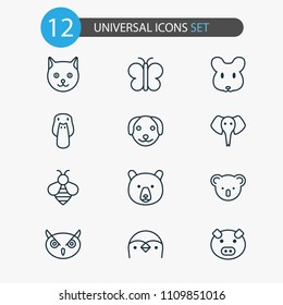 Zoology icons set with penguin, owl, bear and other diver elements. Isolated vector illustration zoology icons.