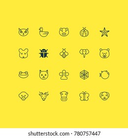 Zoology icons set with toad, grizzly, puppy and other ladybird elements. Isolated vector illustration zoology icons.