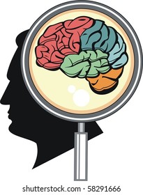 zoomed brain