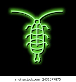 zooplankton ocean neon light sign vector. zooplankton ocean illustration
