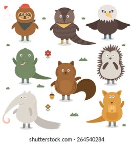 zoo.Squirrel.Kangaroo.Lizard.Eagle.Pangolin.Hedgehog.Sloth