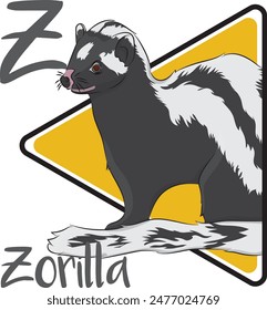 Zorilla also called African skunk lives predominantly in dry climates, such as the savannahs. Like other mustelids, the zorilla is a carnivore. The zorilla is a solitary and nocturnal creature.