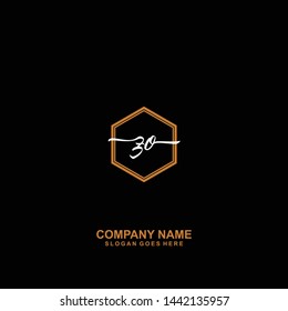 ZP Initial handwriting logo template vector