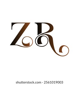 zr simple alphabet art vector icon negative space logo design for your business