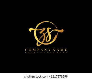 ZS initial handwriting logo circle template vector