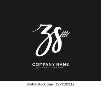 ZS Initial Handwriting Logo Template Vector