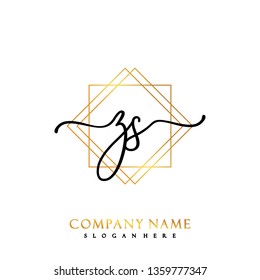 ZS Initial Handwriting logo template vector