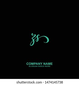 ZS Initial handwriting logo vector