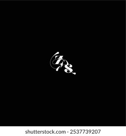 ZS letter monogram style and elegant concept organic hairline logo wedding typography initial
